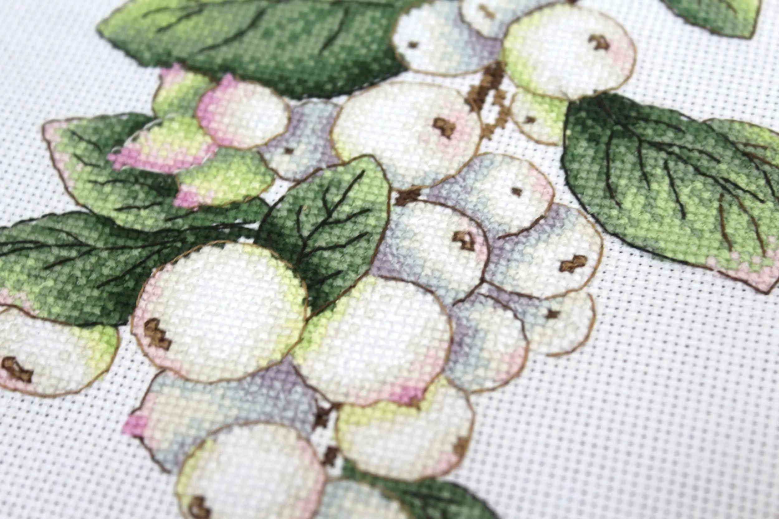 Berries SNV-662 Counted Cross Stitch Kit