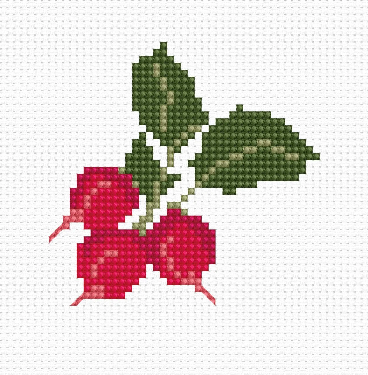 Cross Stitch Kit for Beginners -  Kids Embroidery Kit B036