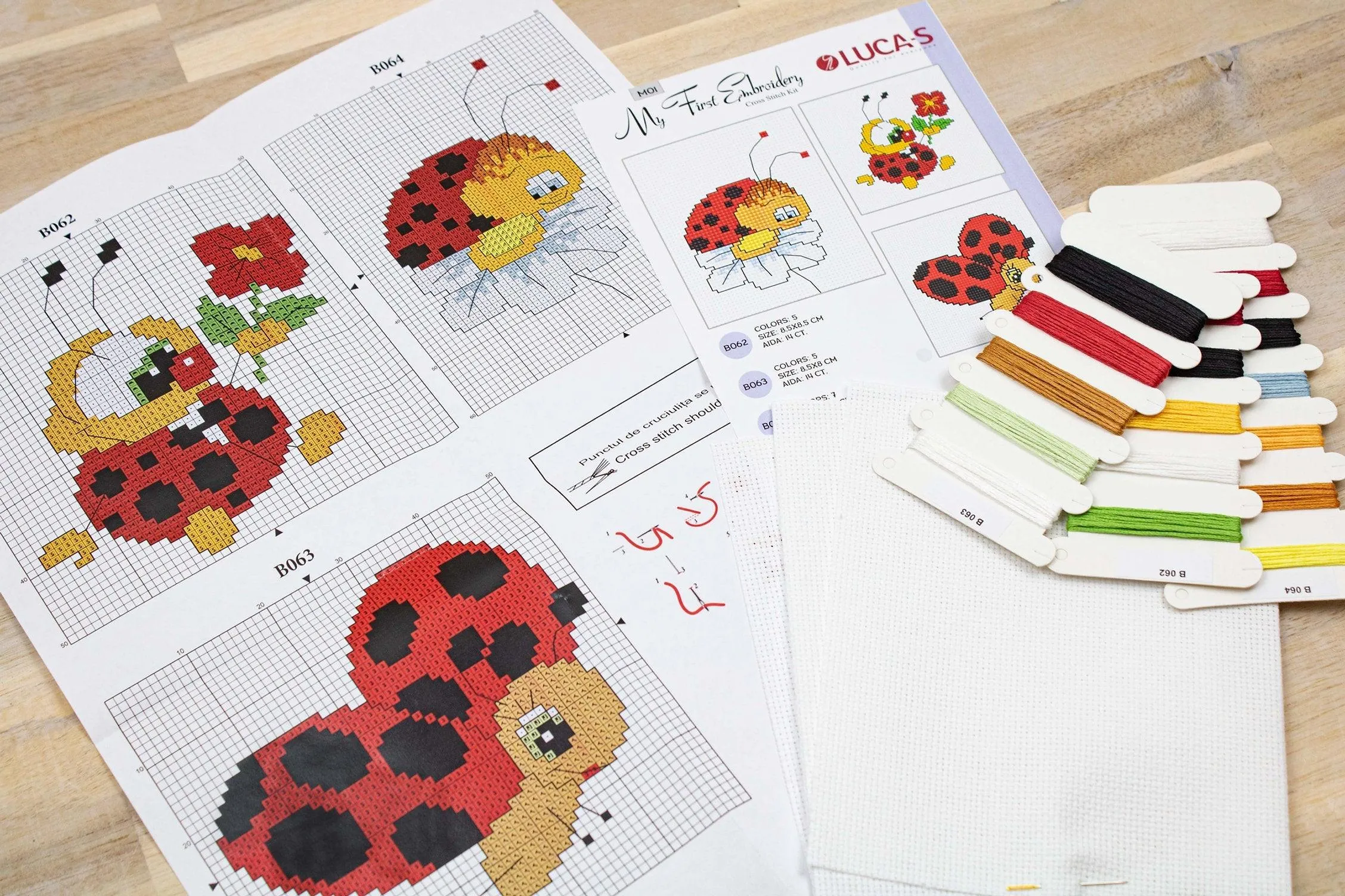 Cross Stitch Kit for Beginners -  Kids Embroidery Kit M01