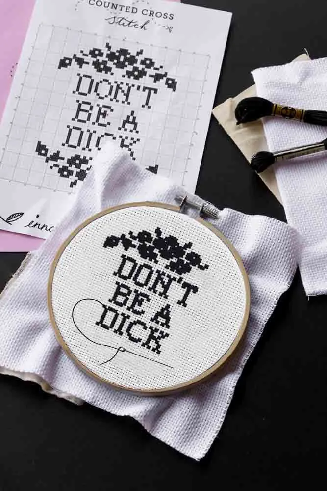 Don't Be A Dick Cross Stitch Kit