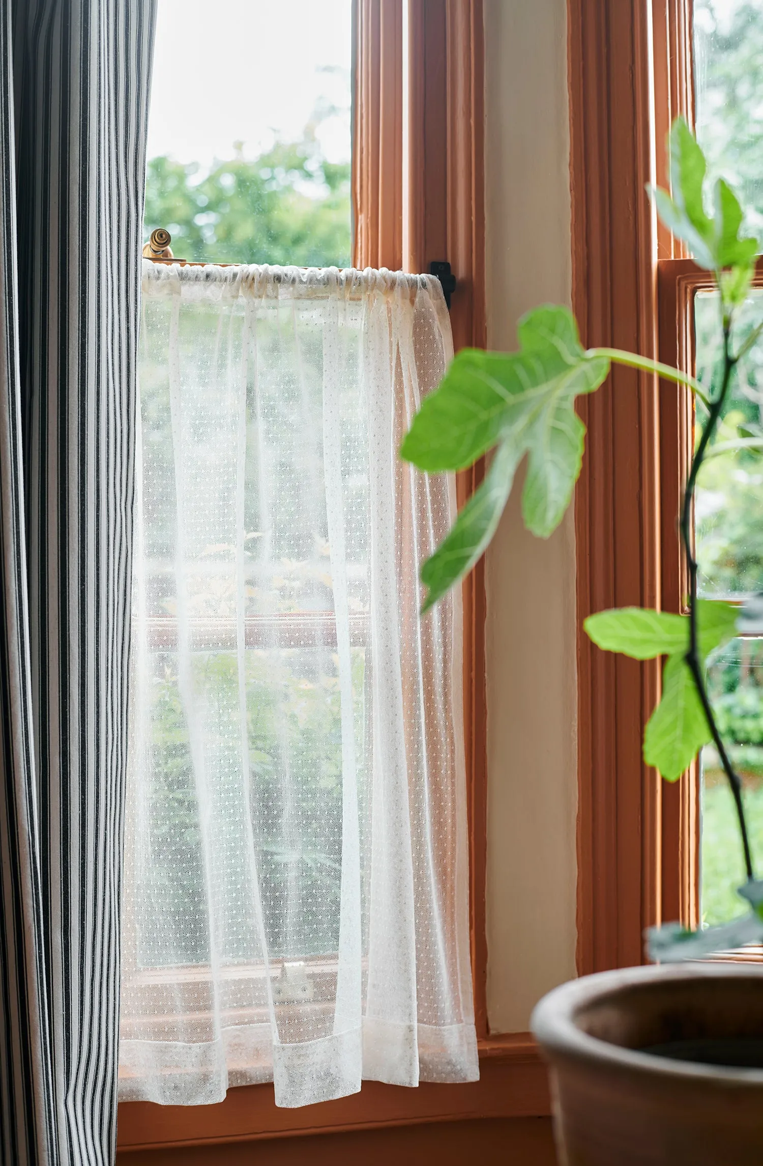 NEW Curtain Spotty Lace Natural