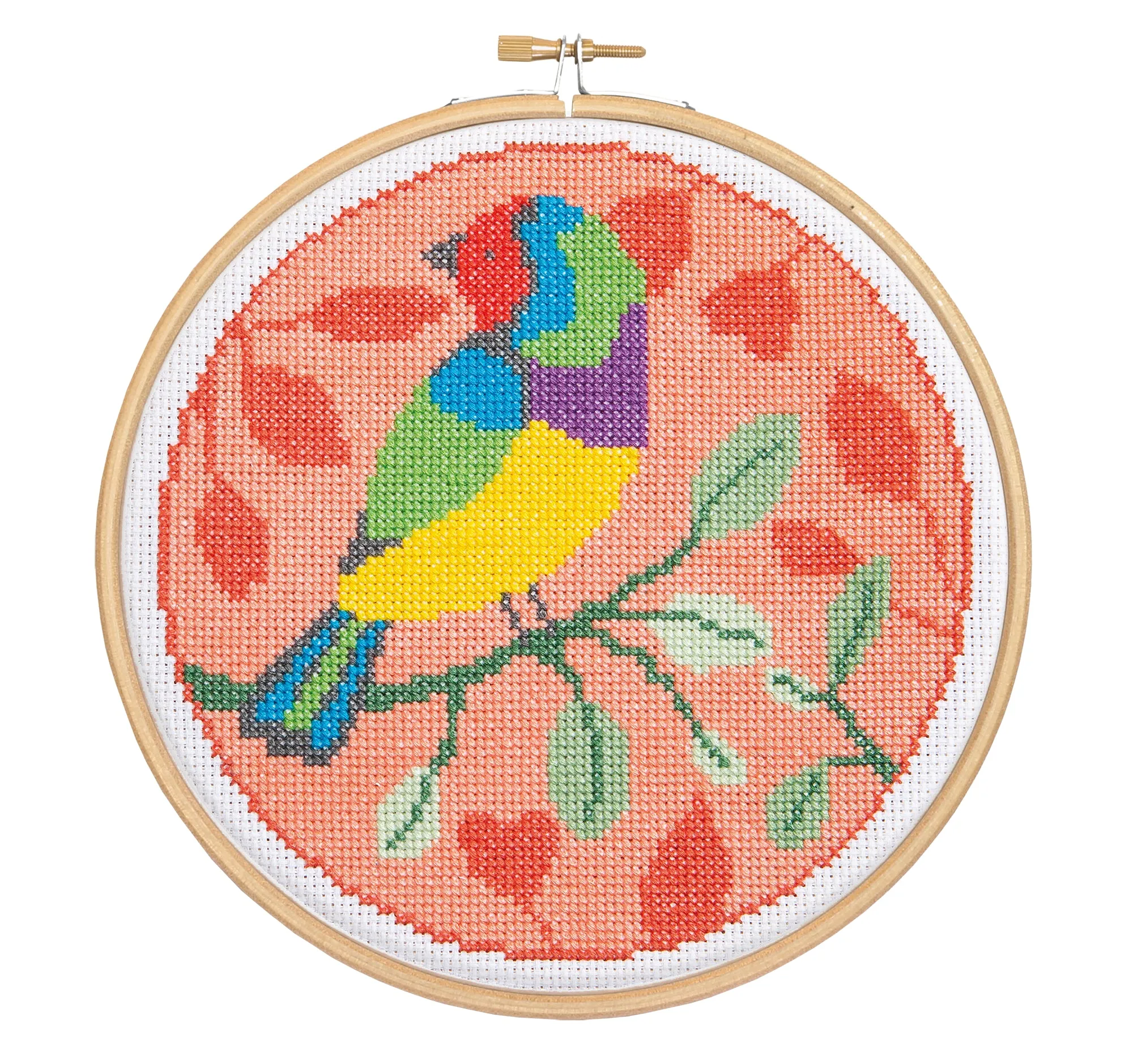 Rainbow Finch Cross Stitch Kit
