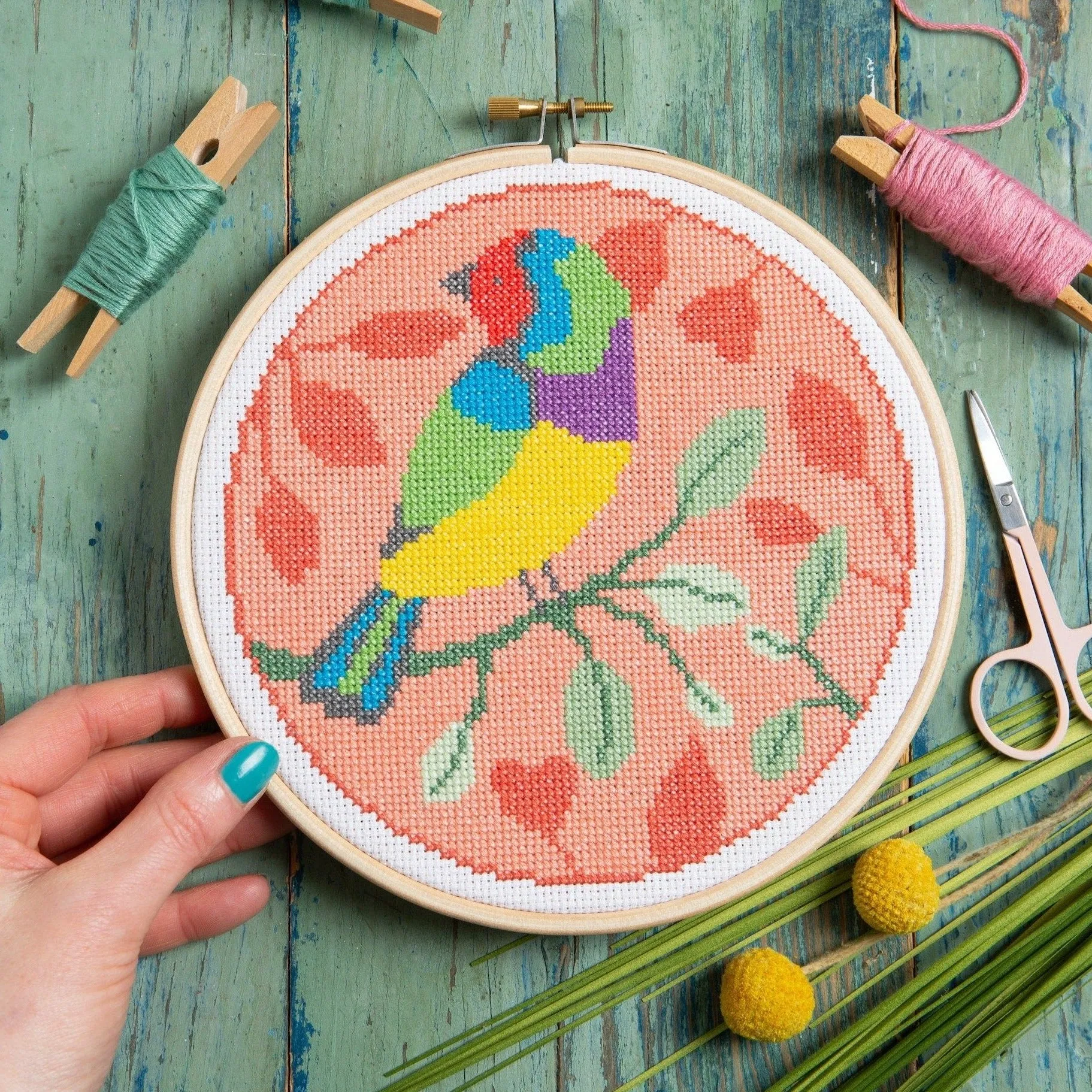 Rainbow Finch Cross Stitch Kit