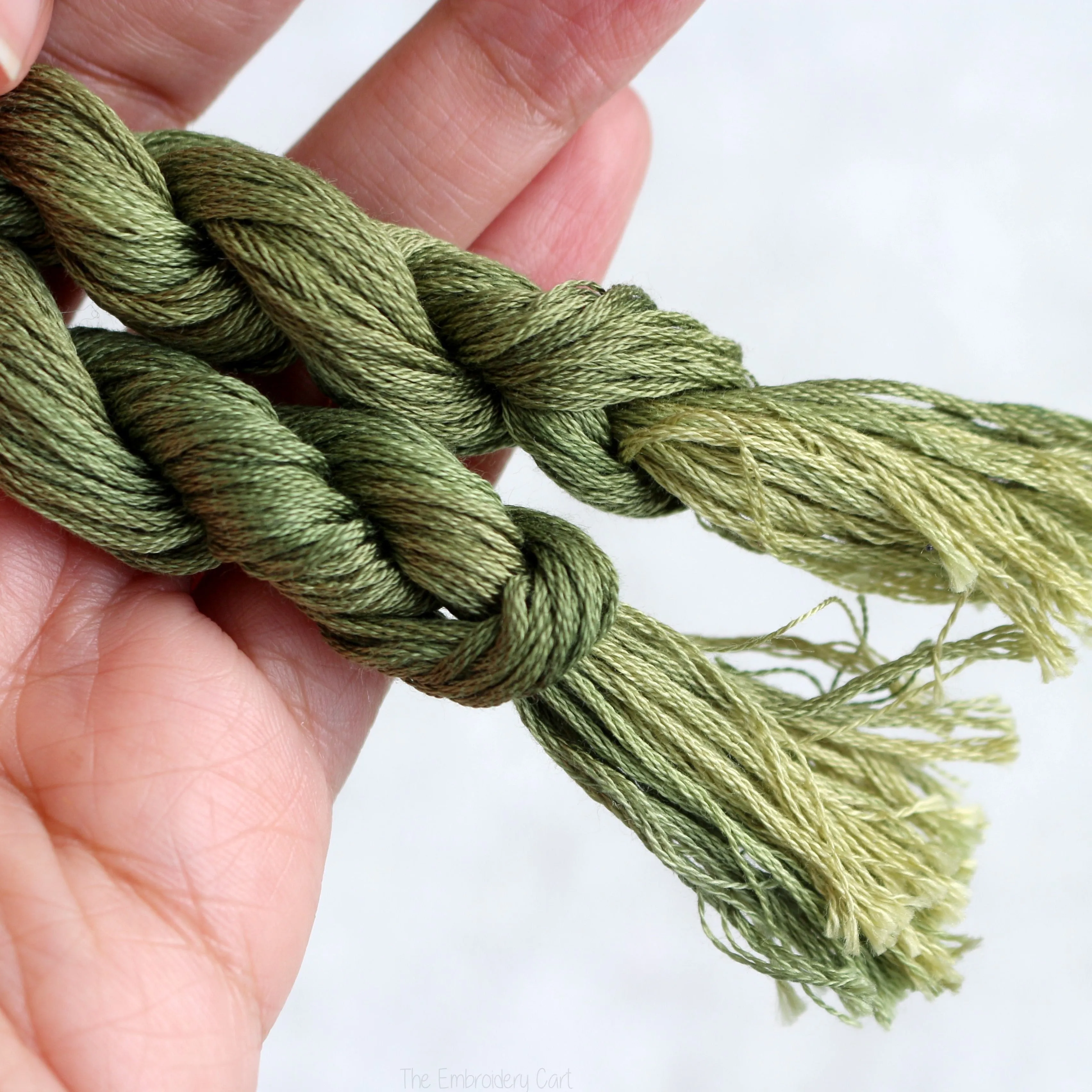 ThreadworX Spanish Olives 1069 - Variegated Embroidery Thread